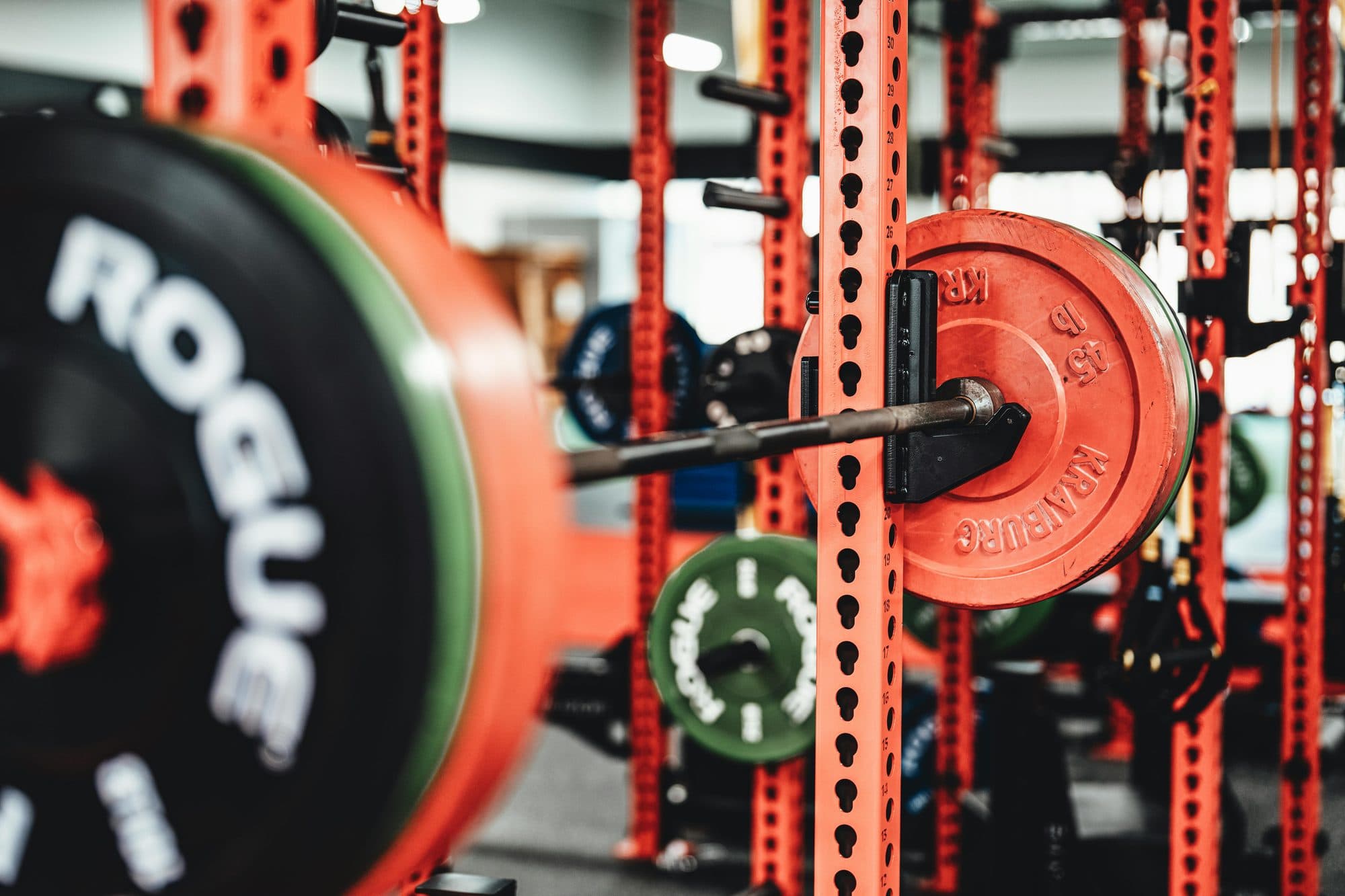 How often should I test my one rep max? banner image